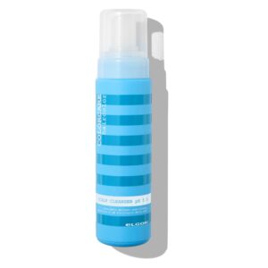 Colorcare SCALP CLEANSER