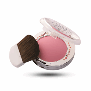 Makeup Blusher